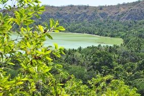 Dziani lake Mayotte Indian ocean