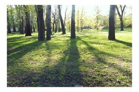 sunny day in park at spring, Ukraine