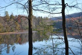 scenic river in the autumn forest