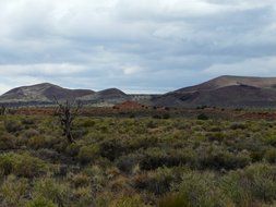 steppe in arizona