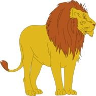 drawn strong lion