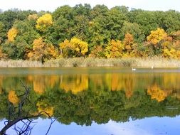 bright autumn forest reflected in the lake on a sunny day