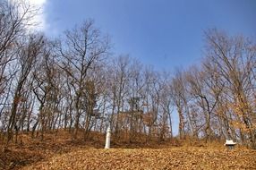 landscape of gravestone in the autumn forest on a sunny day