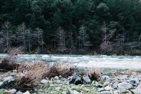 rapids rocky river