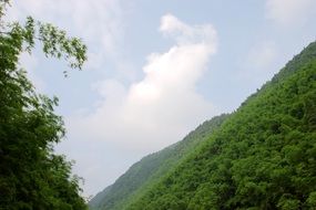 the scenery of green mountains