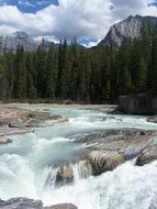 mountain river streaming on rocky bed among the plants