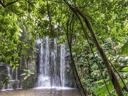 waterfall in nature landscape