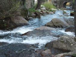 river among large stones