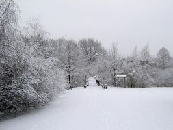 winter snow in the village