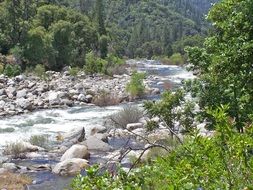 Water among the rocky shores in the forest