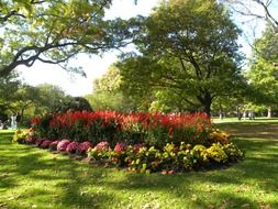 Landscape of the beautiful park