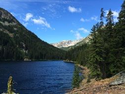 Beautiful lake among the plants and mountains