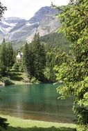 summer alpine