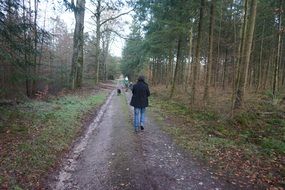 family in the recreation park