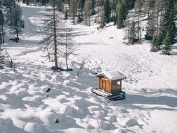 Wooden cabin in a snowy forest