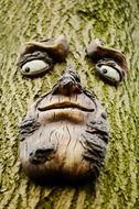 Face on the wood