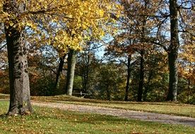 trail in autumn park on a clear sunny day