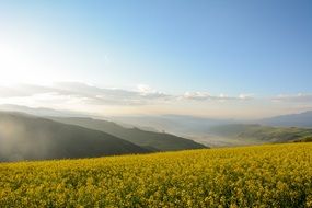 mountain meadows in qinghai