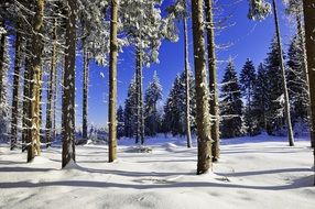 extraordinarily beautiful snowy landscape