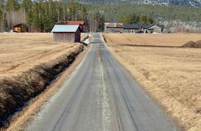 landscape of village road