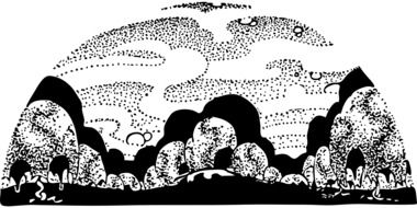illustration of forest