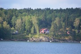 House in Forest Lake shore landscape