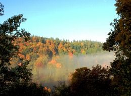 autumn fog landscape over the forest
