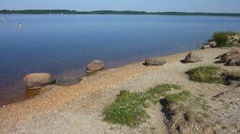 Landscape of the lake in summer