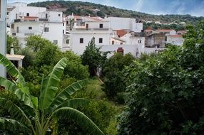 portugal algarve white village tropical scene