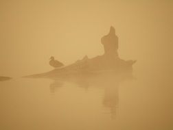 orange mist on the pond