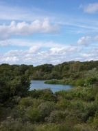 lake in the park Meijendel in the netherlands
