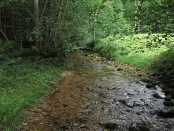 creek among green hills
