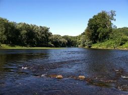 summer panorama of small rapids in the river