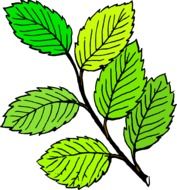 clipart of the bright green leaves