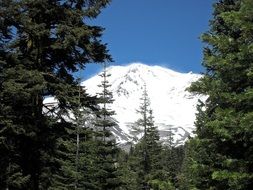 Landscape of Mount Shasta