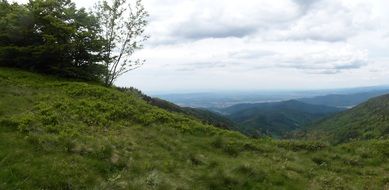 panorama of black forest in the rhine valley