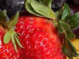 Close-up of the beautiful red strawberries with green leaves