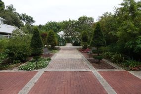 pavement in a park