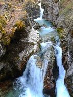 stream water forest