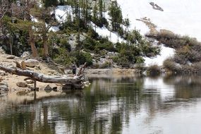 panorama of a lake against the backdrop of a glacier in Colorado