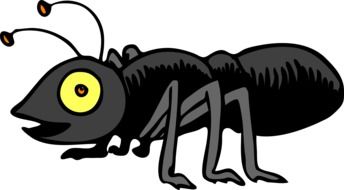 bug ant drawing