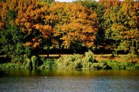 lake with autumn trees view