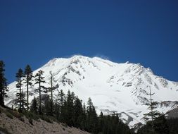 mount Shasta view