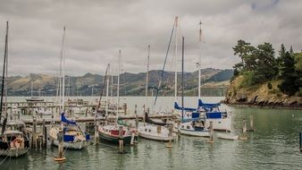 port in new zealand