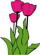 graphic image of three purple tulips