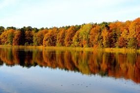 Beautiful and colorful trees near the lake