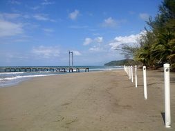 white poles in row on sand beach at sea, honduras