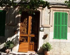 plants above the front door