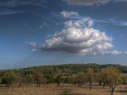 the nature of the Balearic Islands