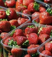 sweet strawberries in plastic box